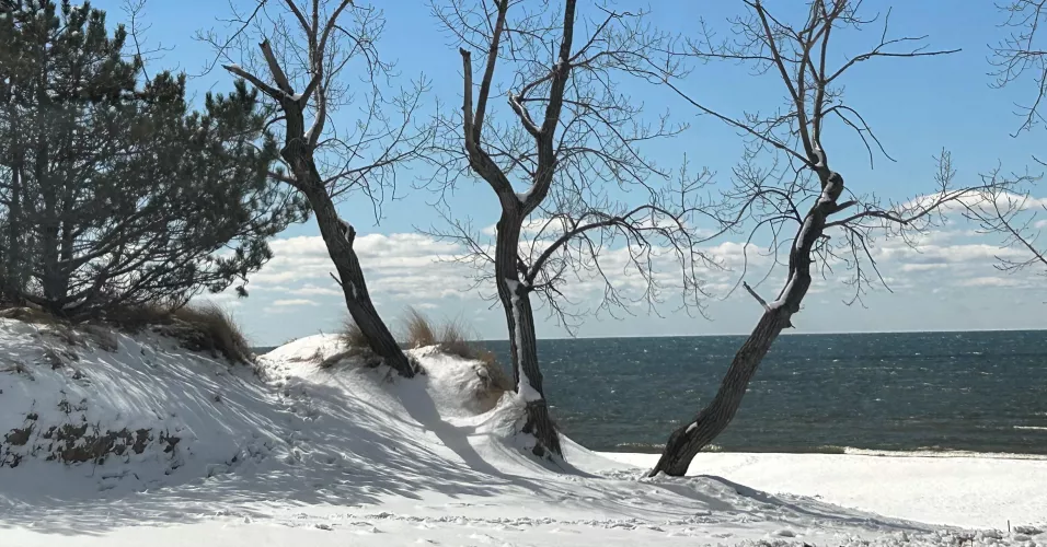 Winter Blues… by Sparkle4th