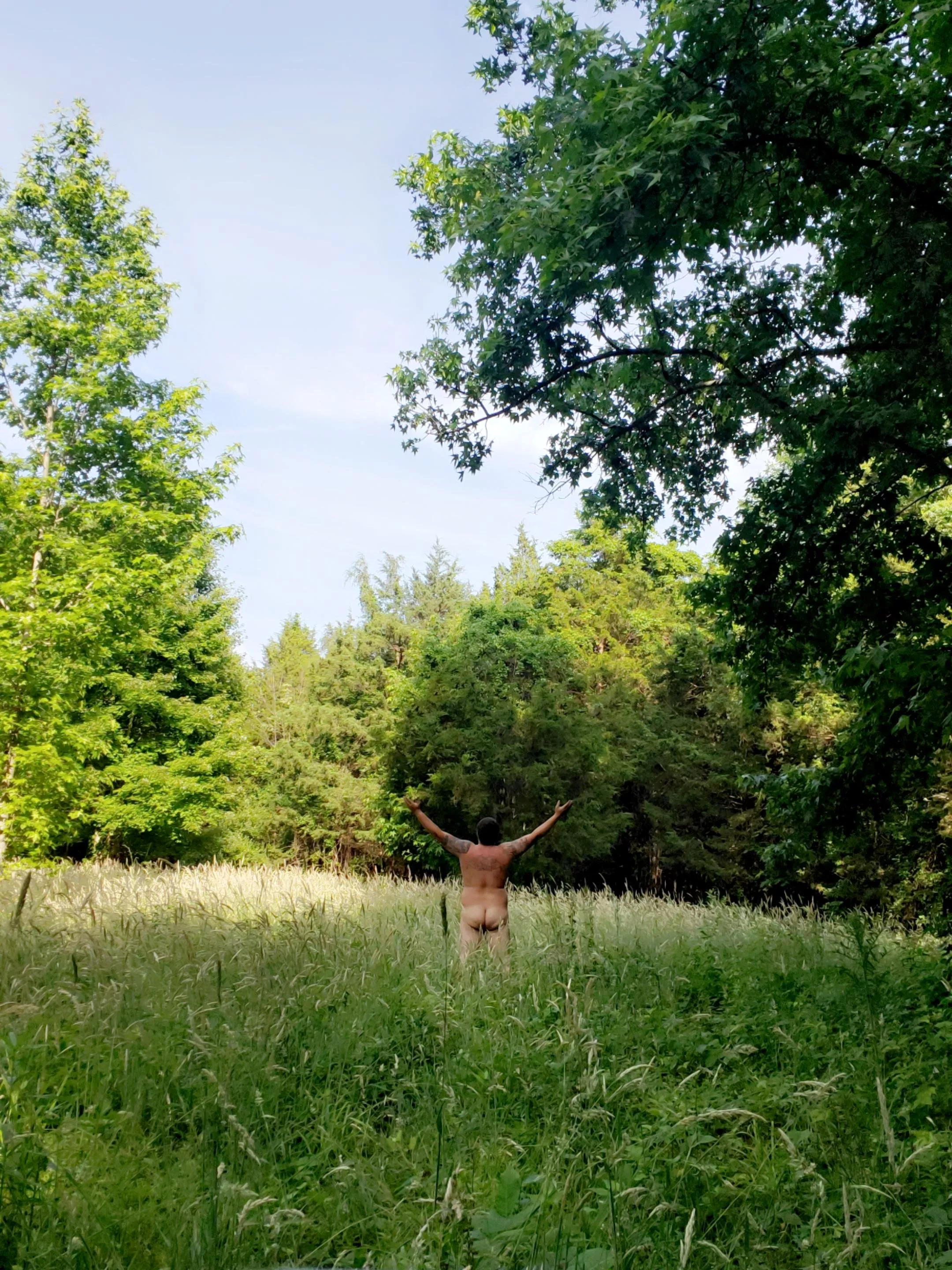 Wonderful morning  posted by Bearded_dad4226