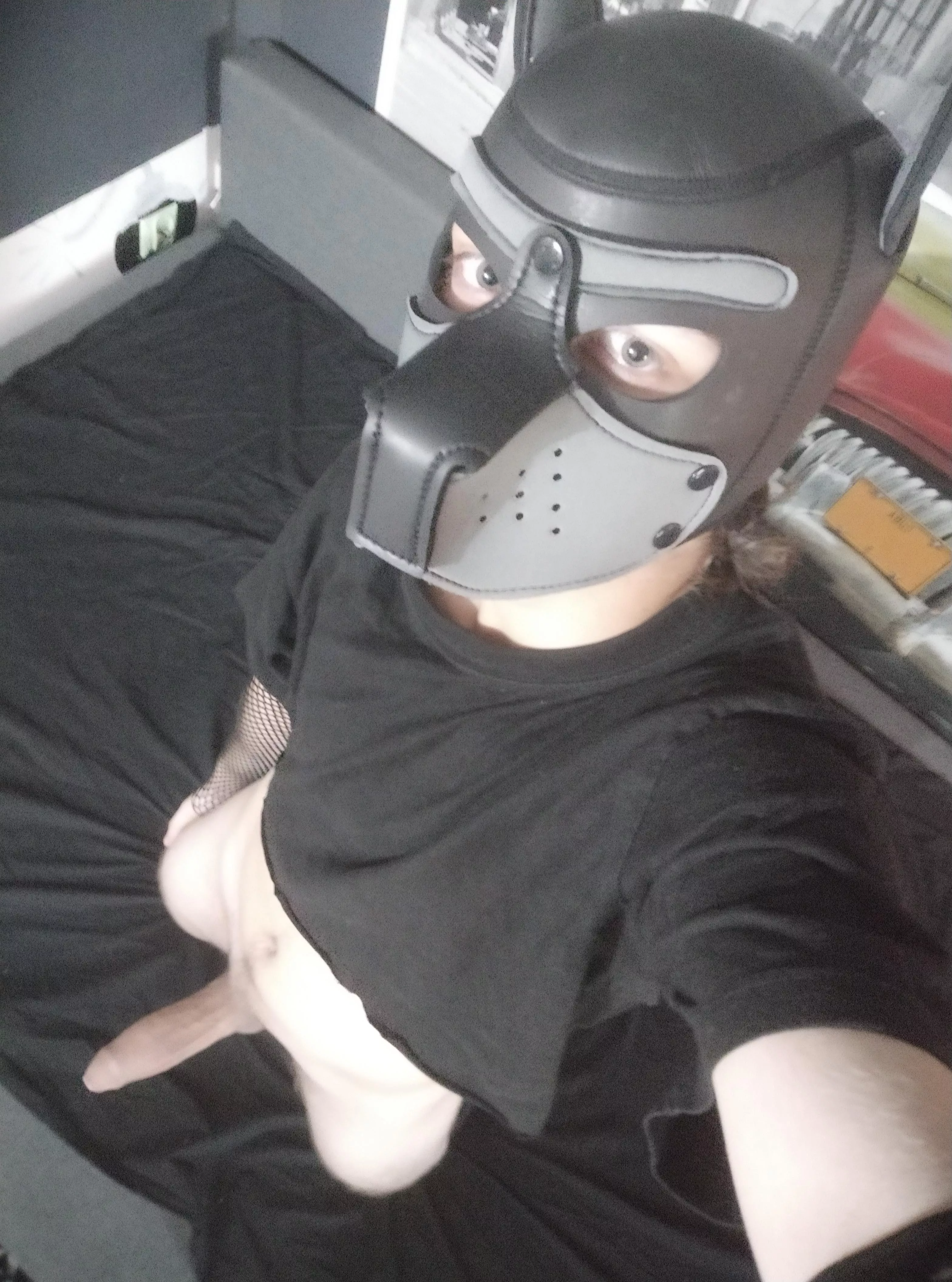 Woof posted by EmeshaPw