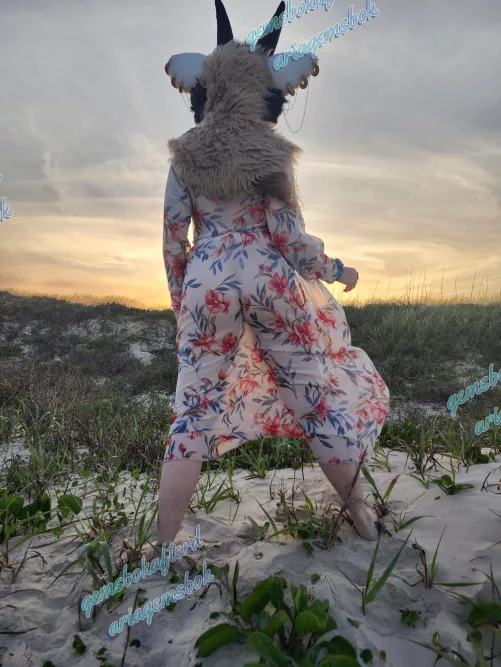 Would you come watch the sunset with me? 🌄 by AriaGemsbok