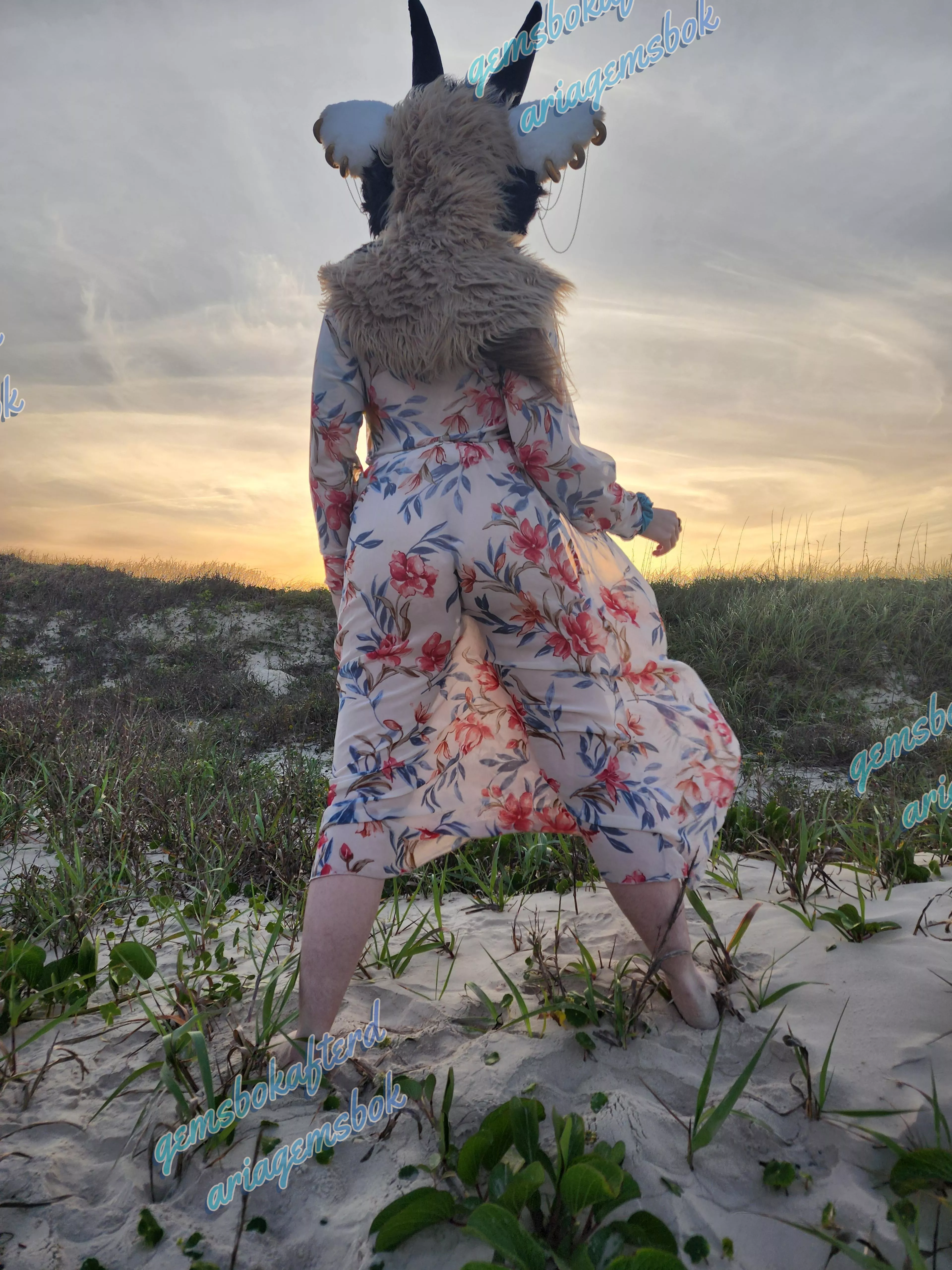 Would you come watch the sunset with me? 🌄 posted by AriaGemsbok