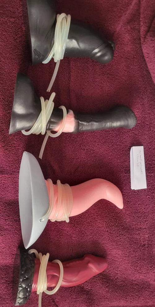 WTS collection USA by hecking_hazel