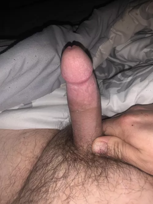 31 bi chubby 5inchs love being cut by Original_Line_4631