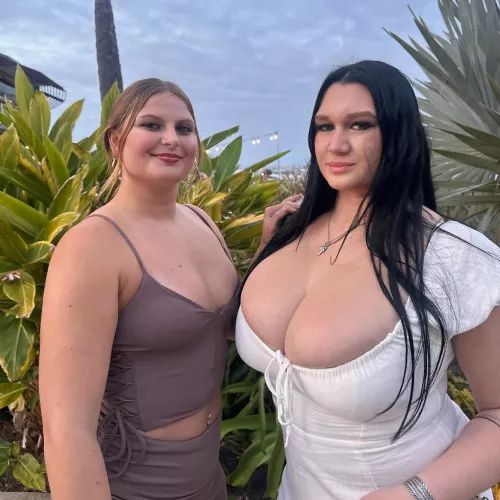 Actual Pillows by EmptyImportance1962