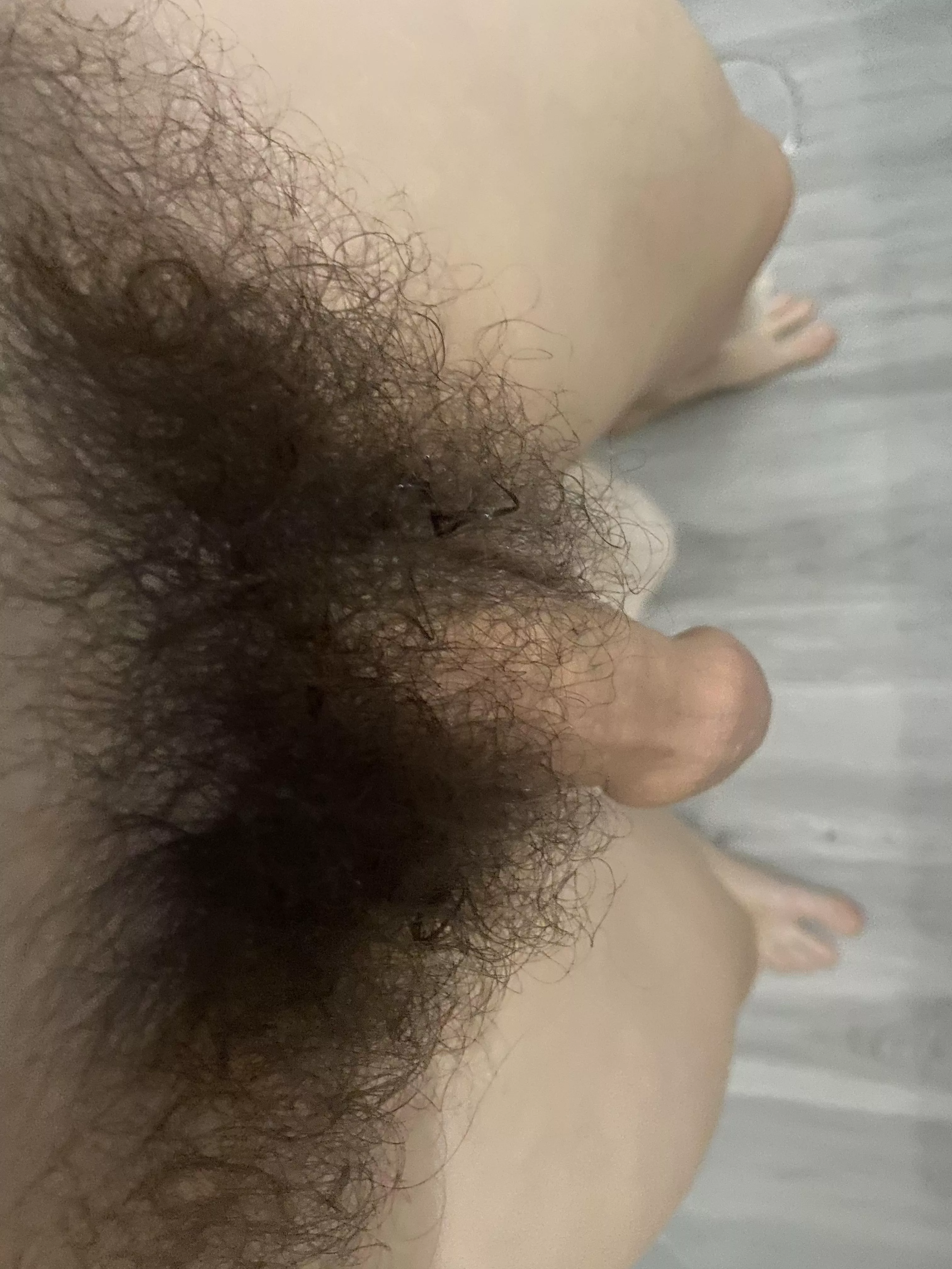 After the shower my pubes looks so musky posted by heyjude36