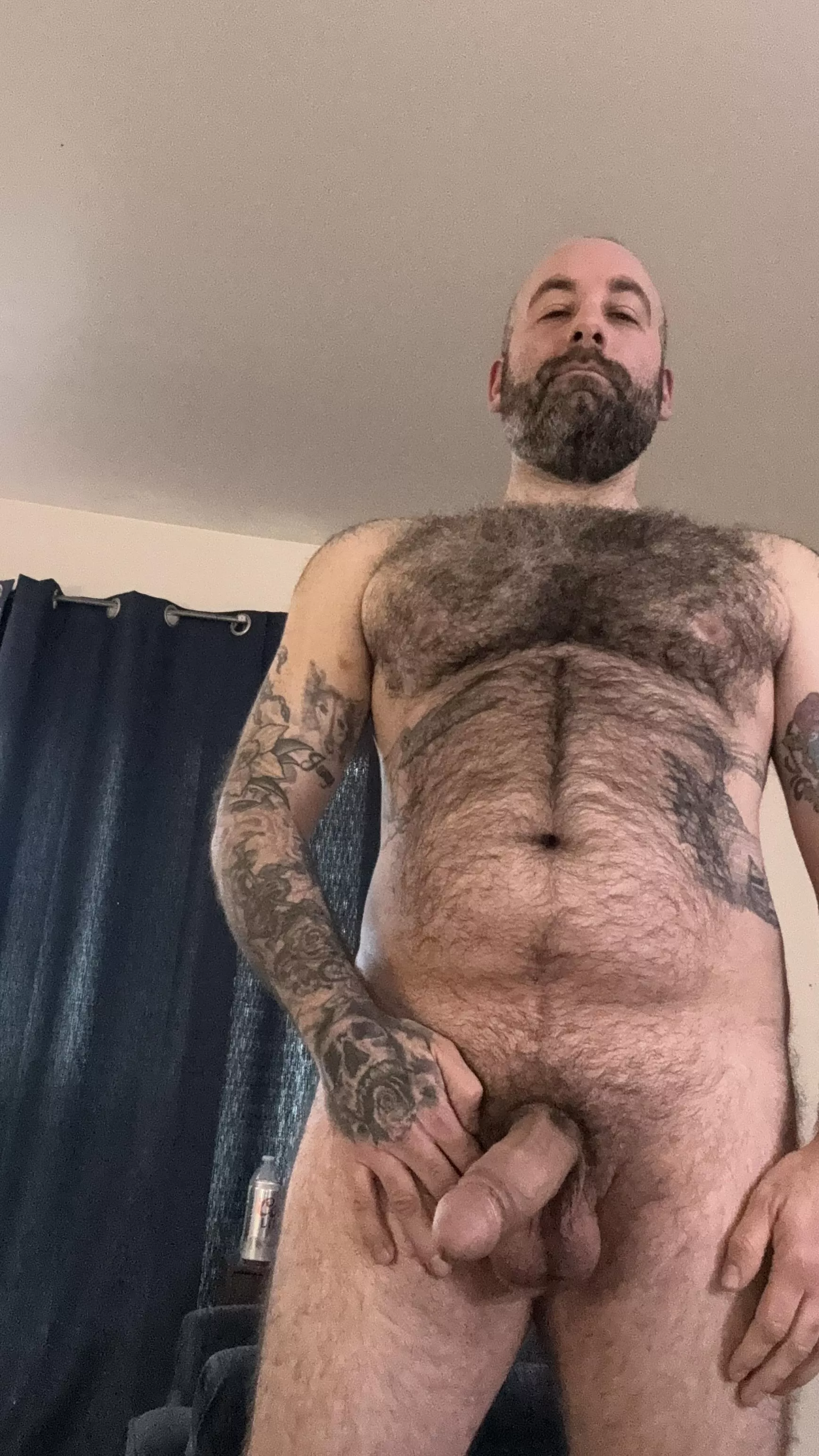 Almost majestic posted by SpaghettiHands37