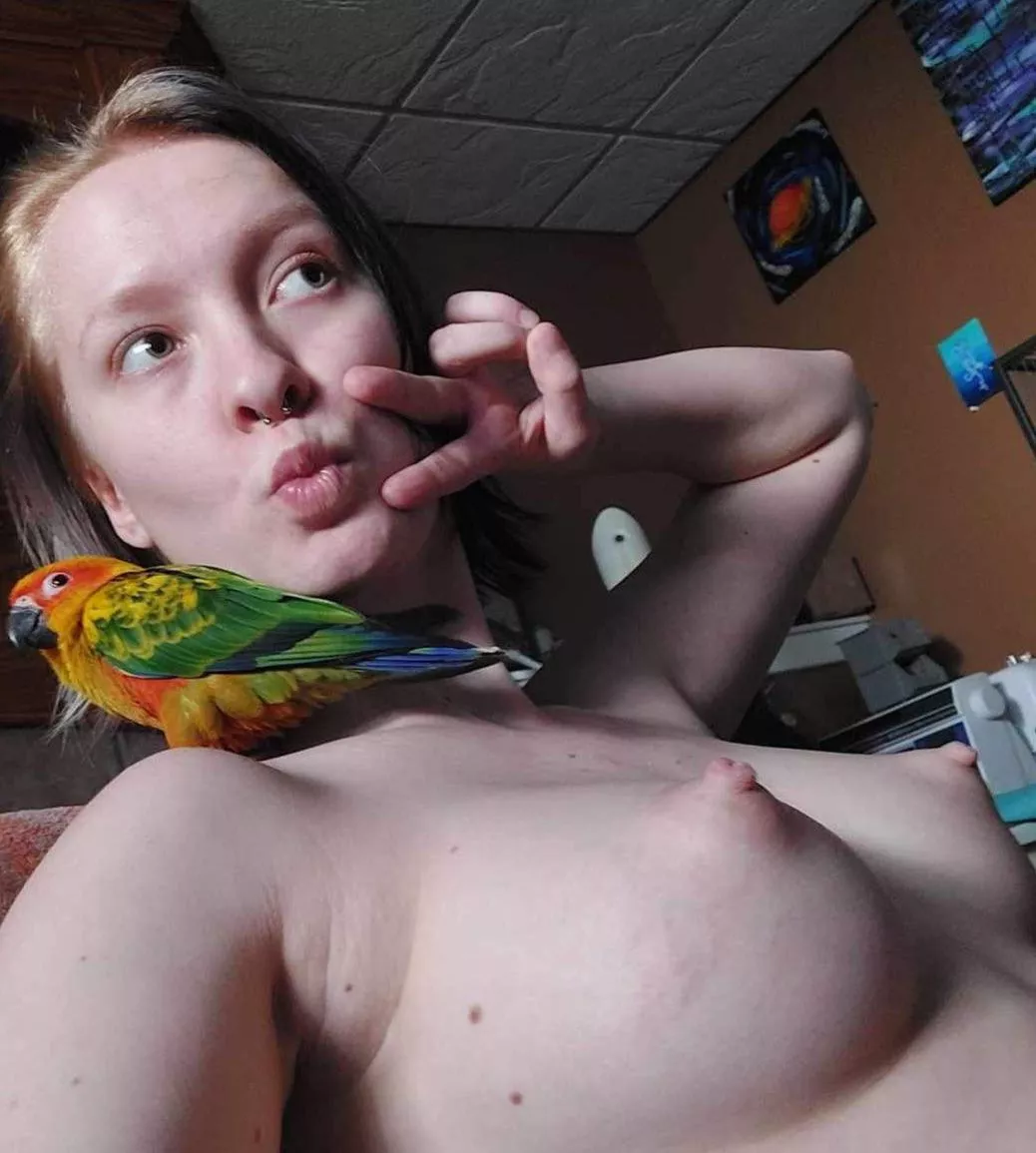 Did you even see the bird ? posted by No_Interview_6489