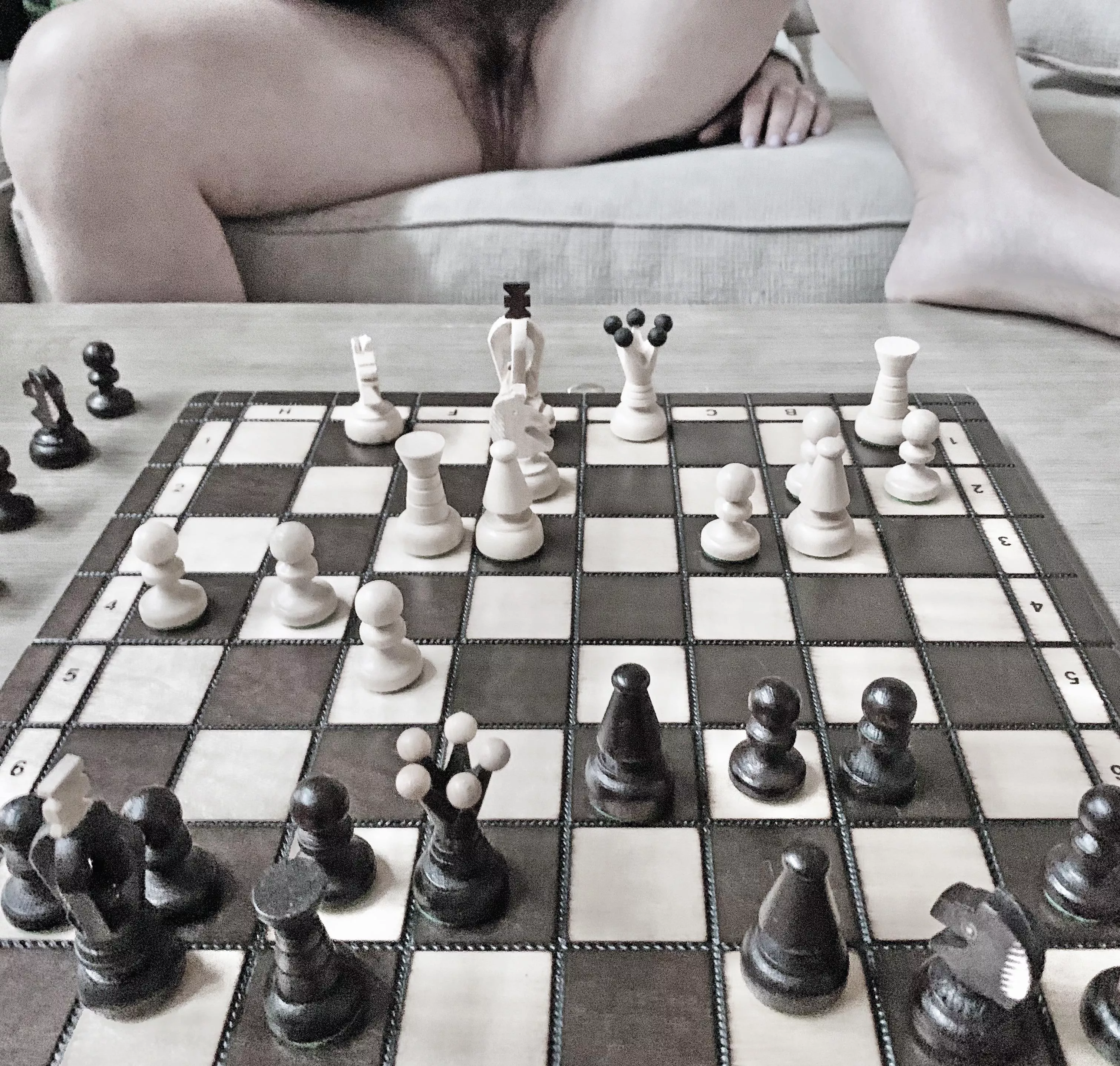 Distracting tactics… posted by LucilleAndP