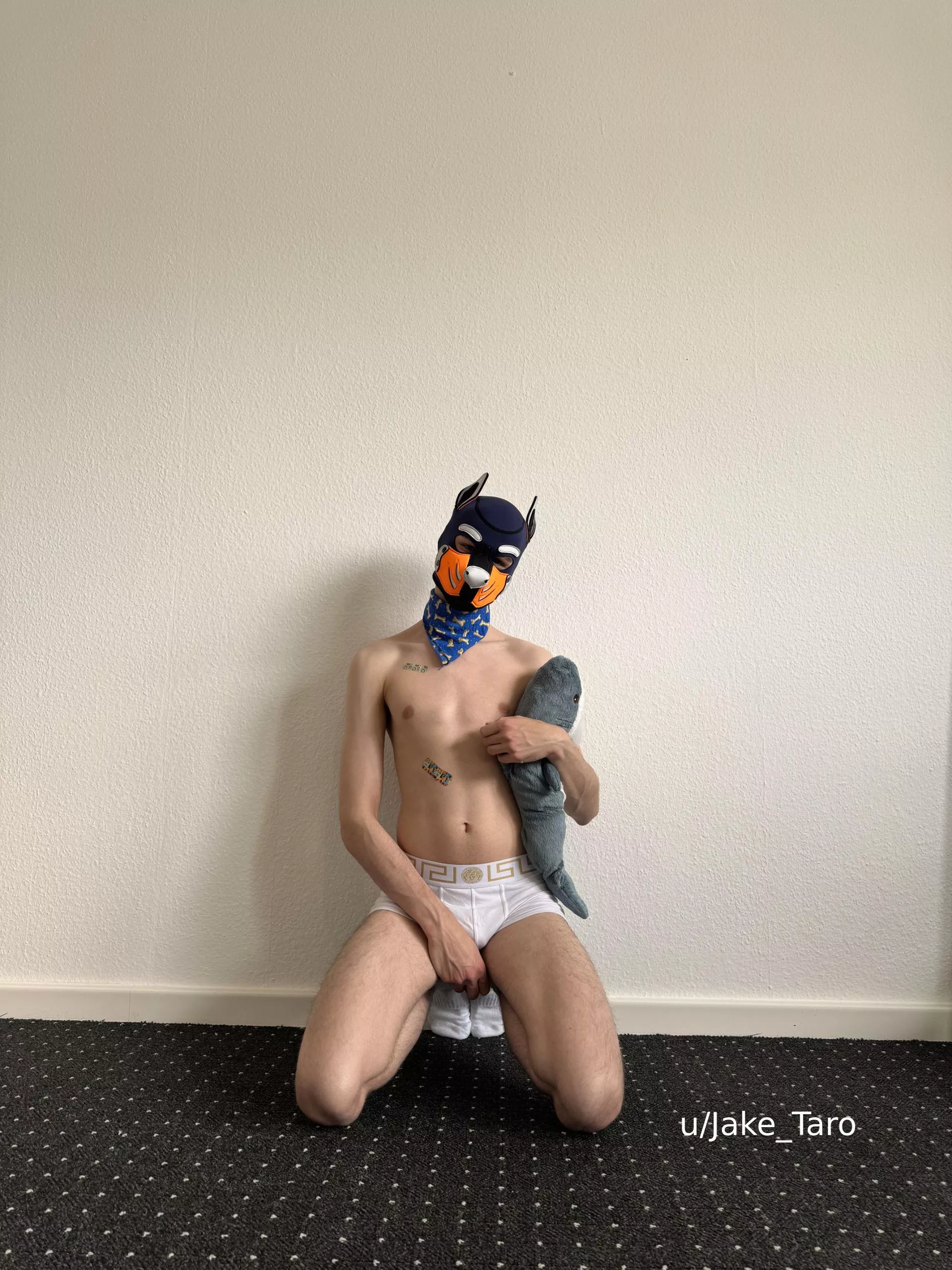 do you want cuddles? posted by Jake_Taro