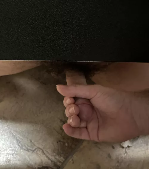 First understall by buginthesystem22