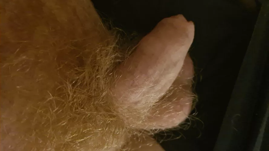 Ginger from denmark by FeeExcellent7563