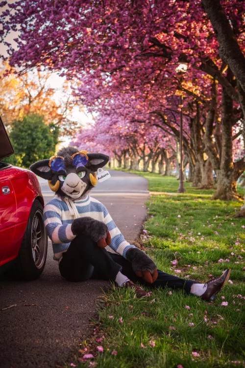 Grand Tourer by stayawayfromthealien