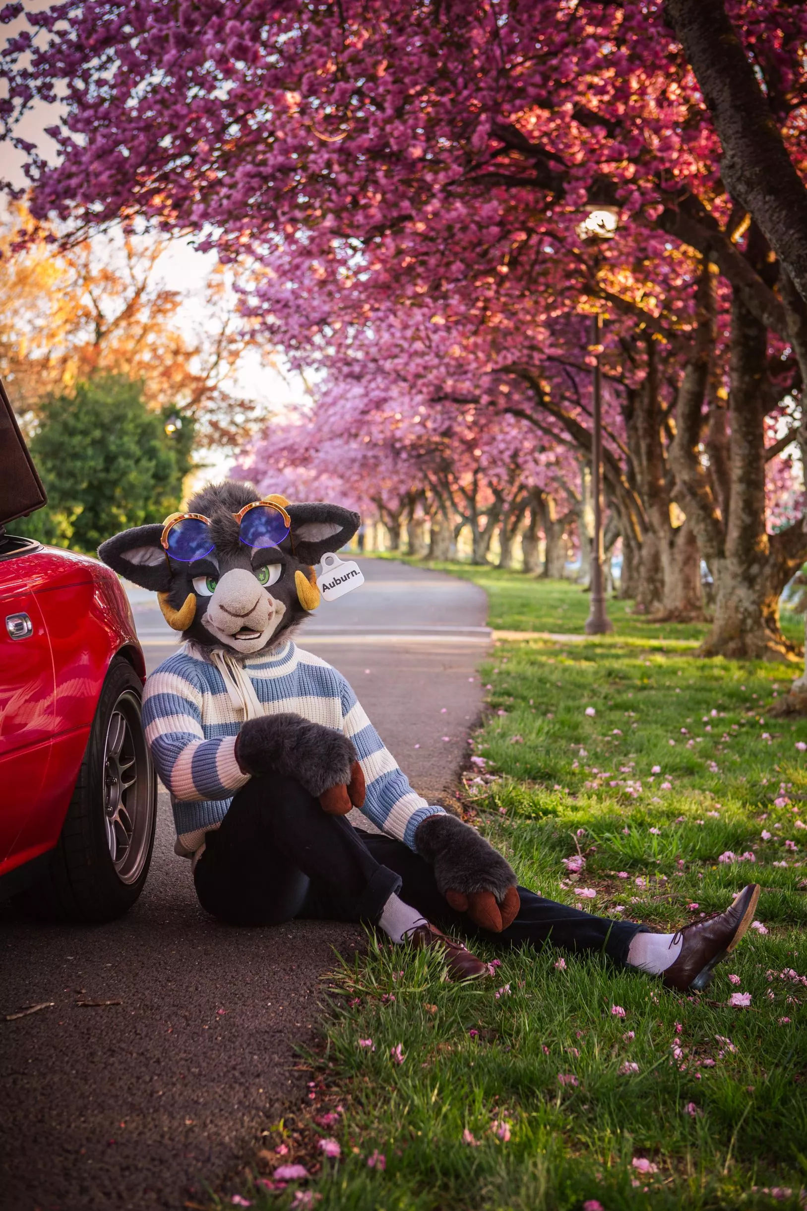 Grand Tourer posted by stayawayfromthealien