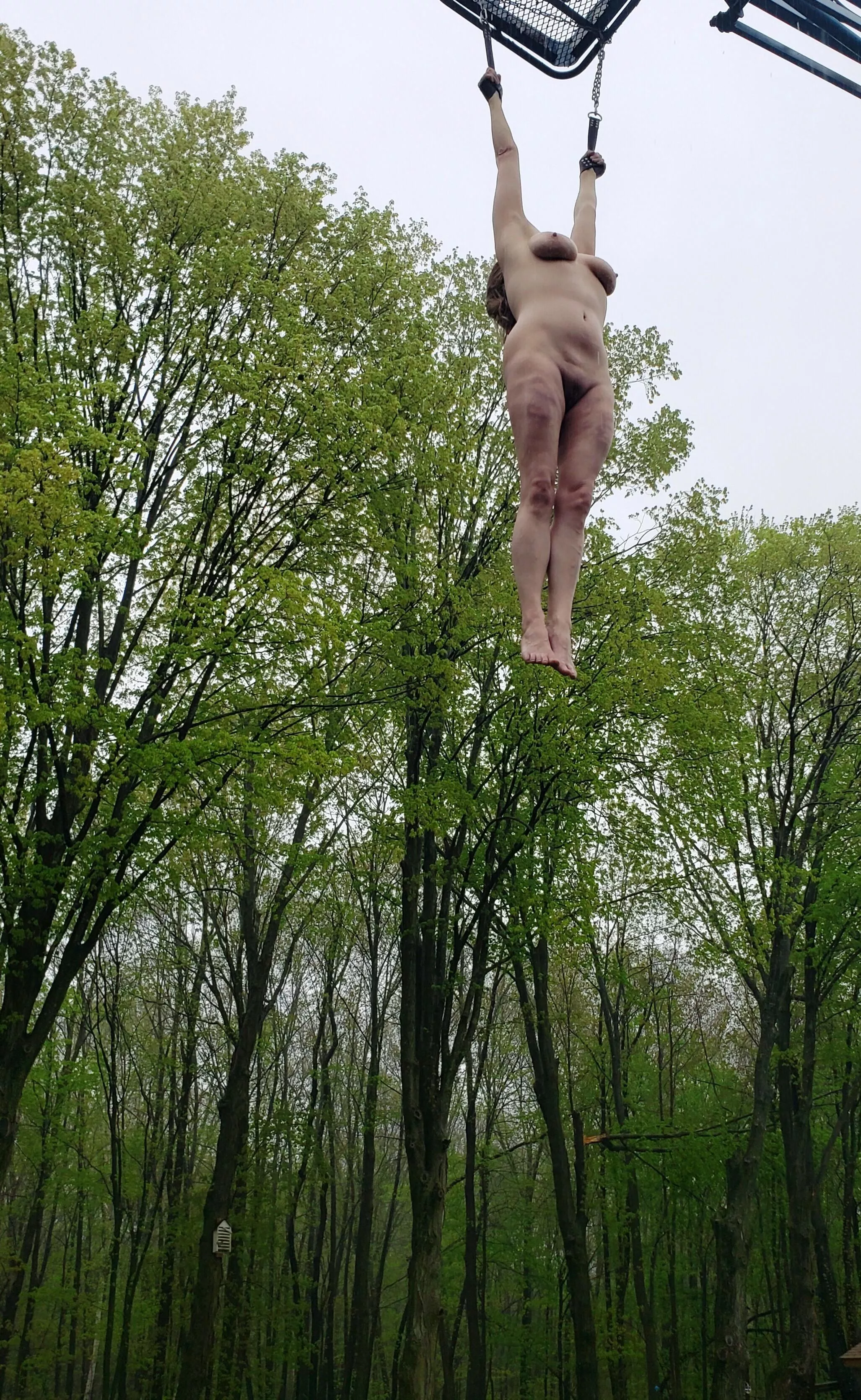 high up posted by Mundane-Employer-719