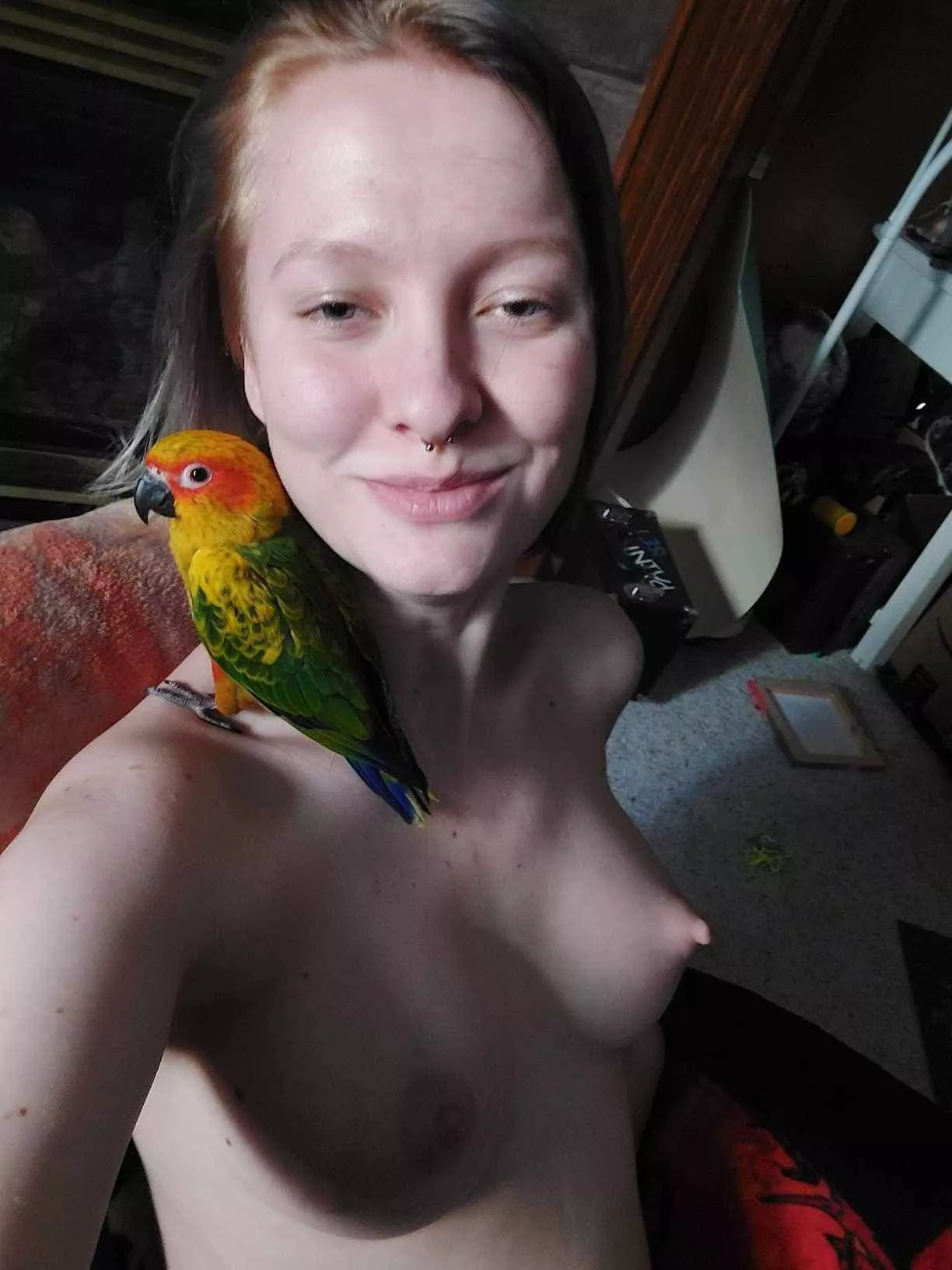 I love my conures  posted by No_Interview_6489