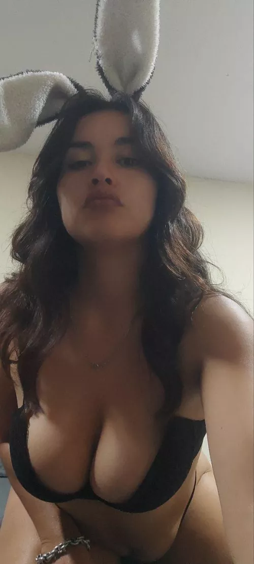 In search of my carrot by rosmaob