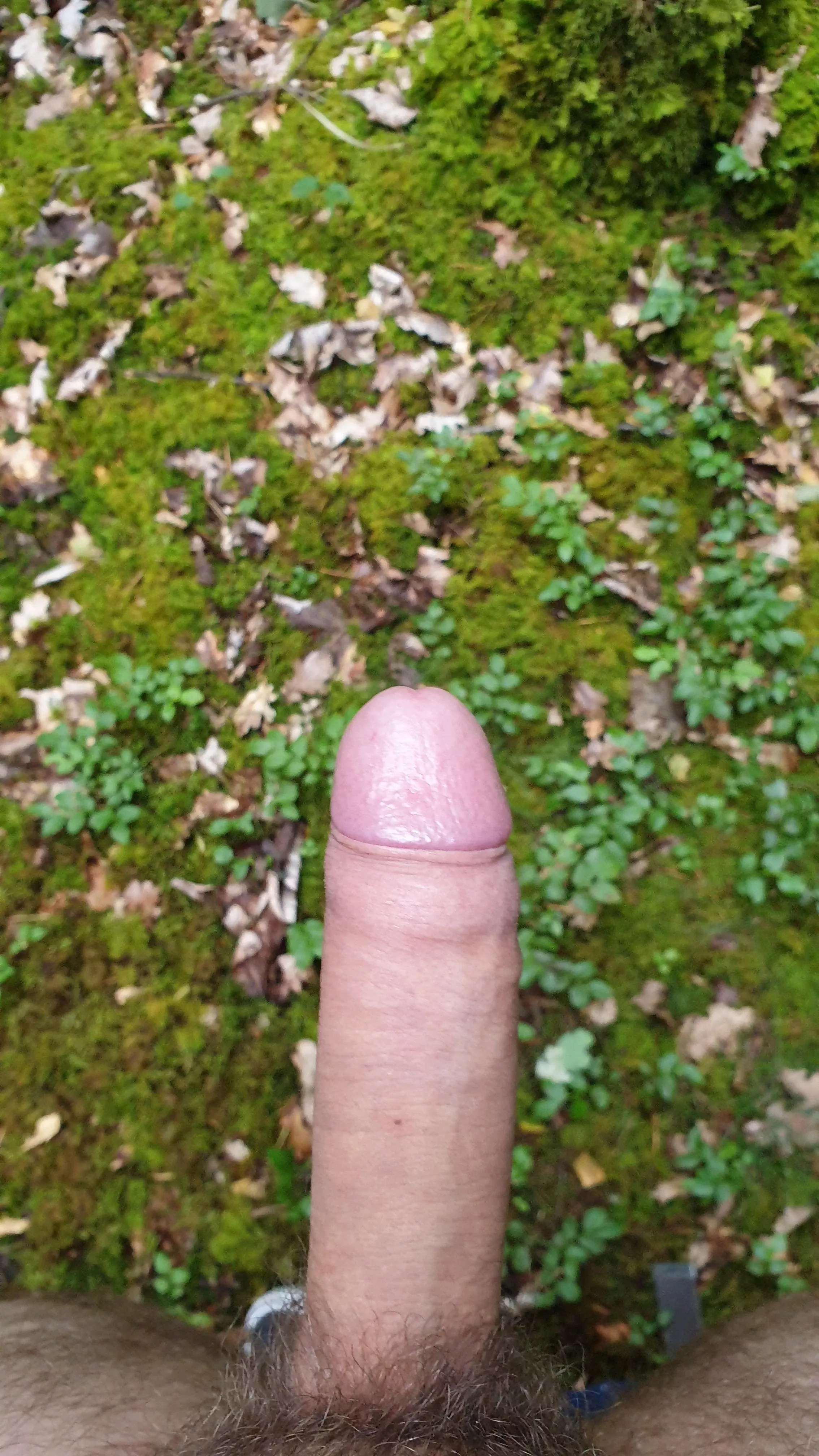 Just seconds before I spread my seed in the forest posted by WillingCreme16