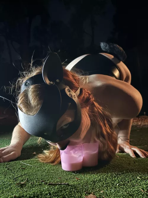 Meow! Kitty is thirsty [OC] by GroundOk7951