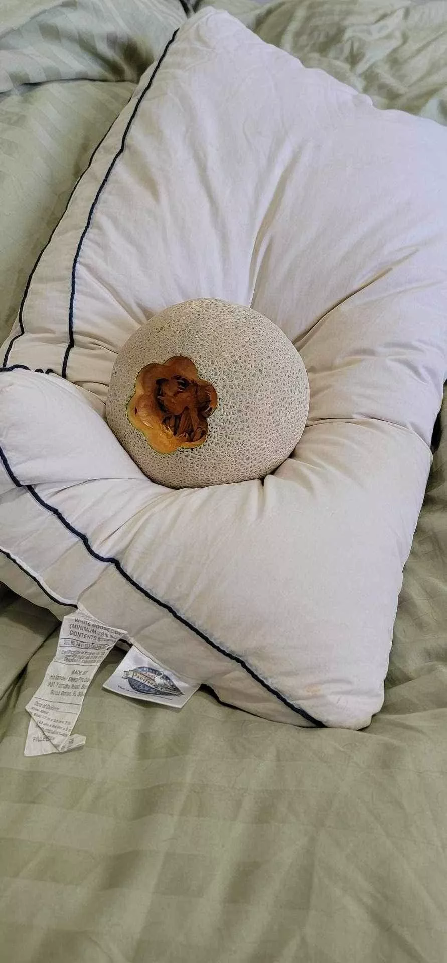 More from my recent pillow fruit combo posted by Serious-Temporary-87