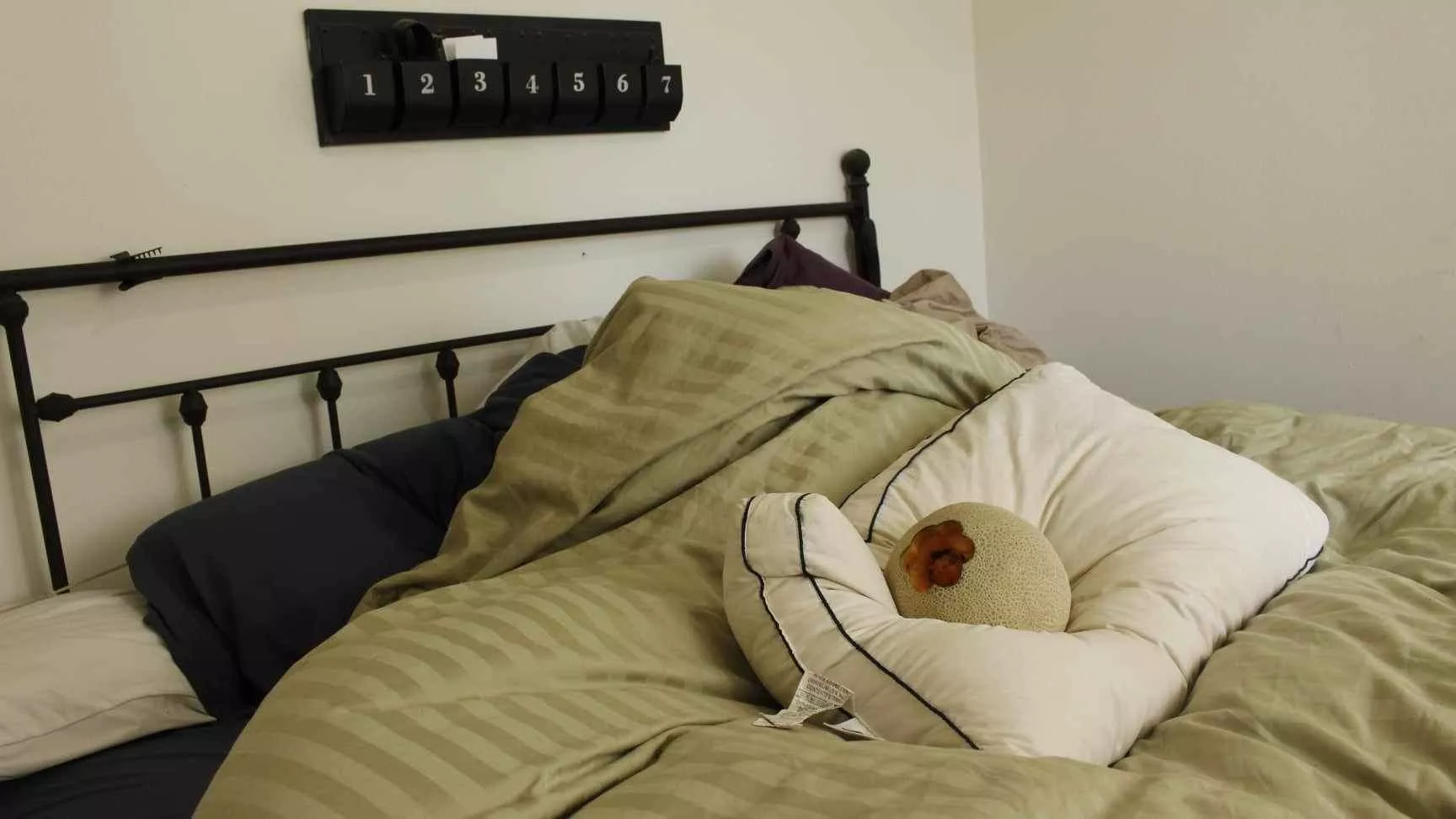 Pillow fucking Fruit smash posted by Serious-Temporary-87