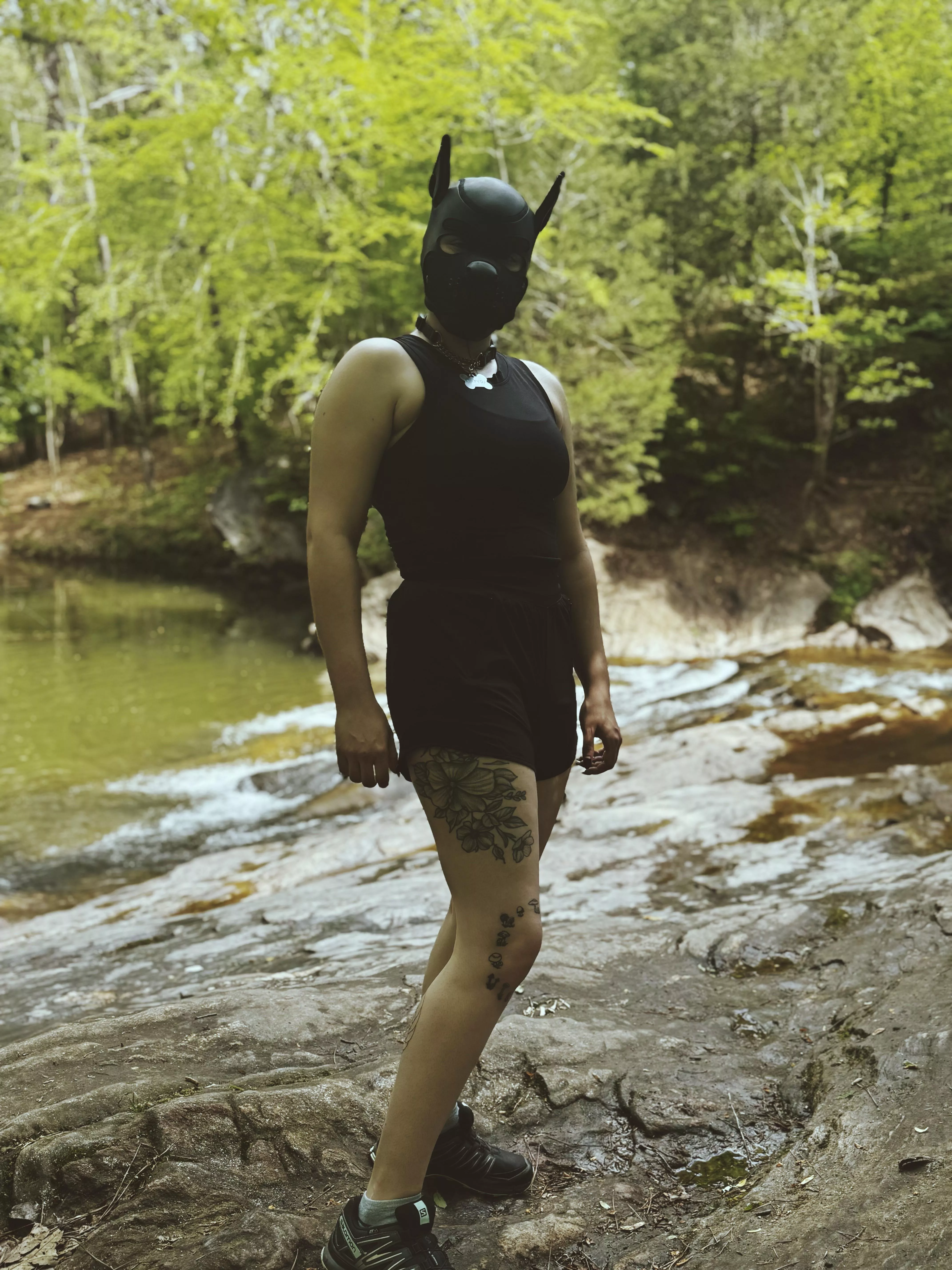 Puppy goes for a walk 🐾  posted by satanicctwiink