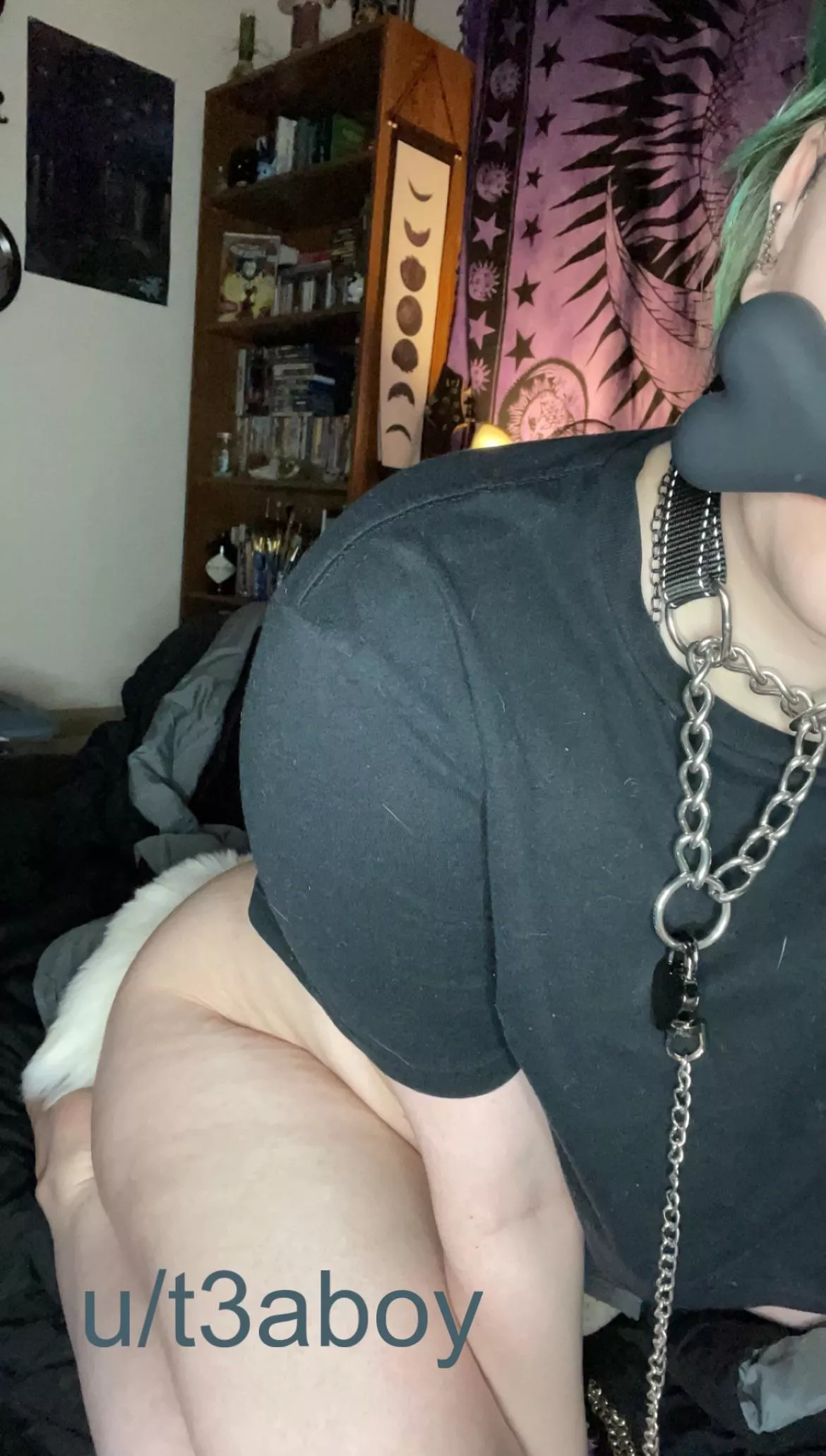 puppyboi brought you his bone! won’t you play with them?  posted by t3aboy