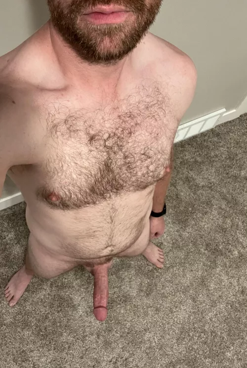 Ready for hump day? by DomDaddy_88