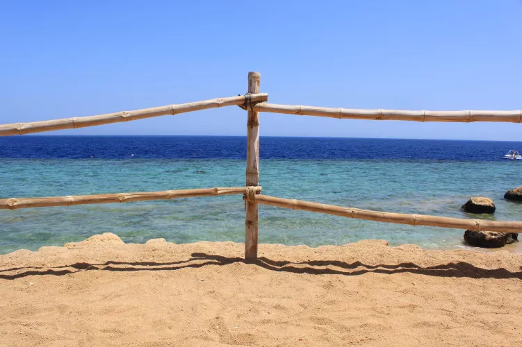 Red Sea, Sharm El-Sheikh, Egypt by Special-Owl6916