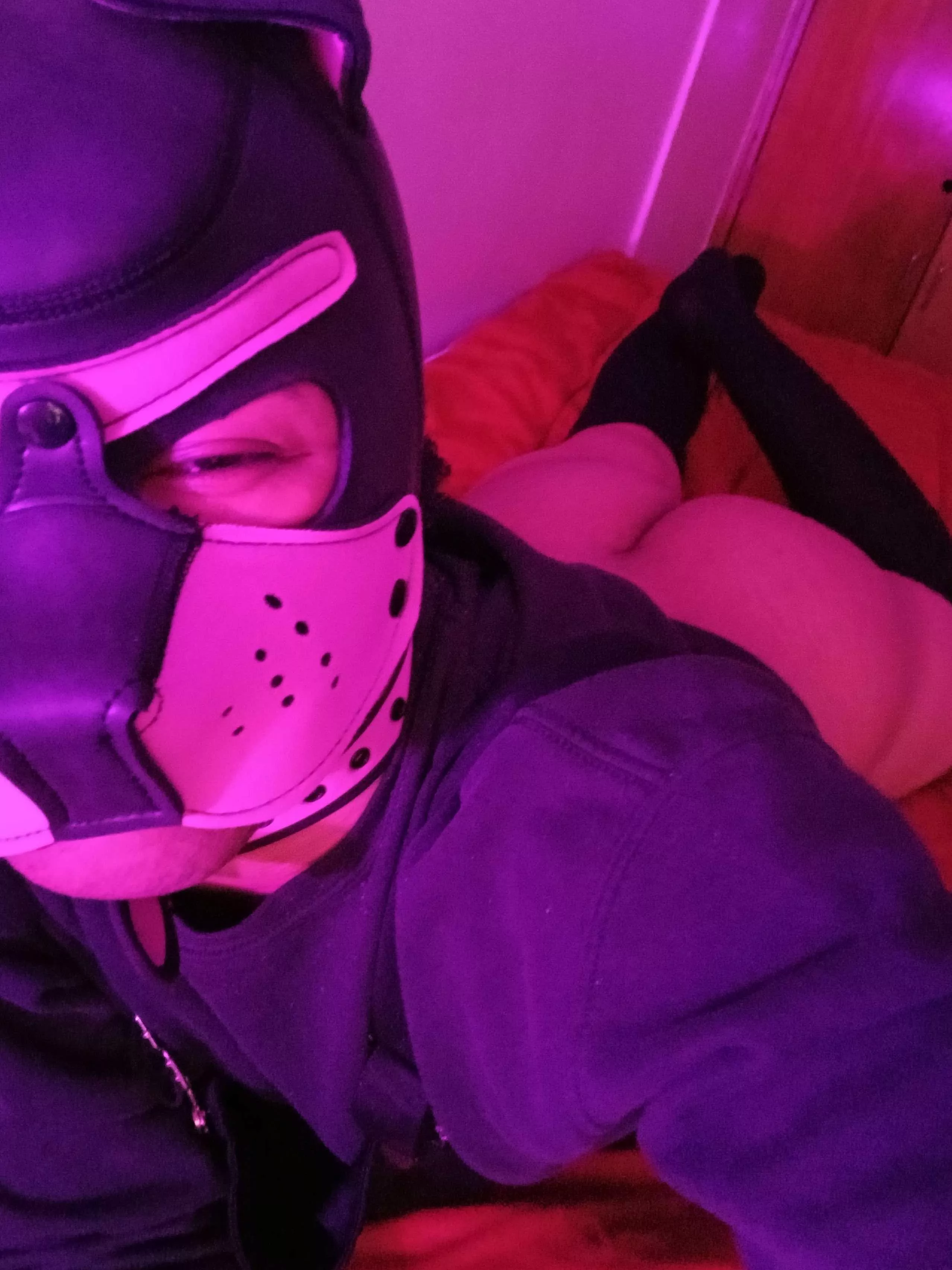 Relaxing's more fun when you're bottomless posted by PupAries_