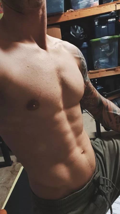 Should I get a full chest tat next? by Thrillseeker33