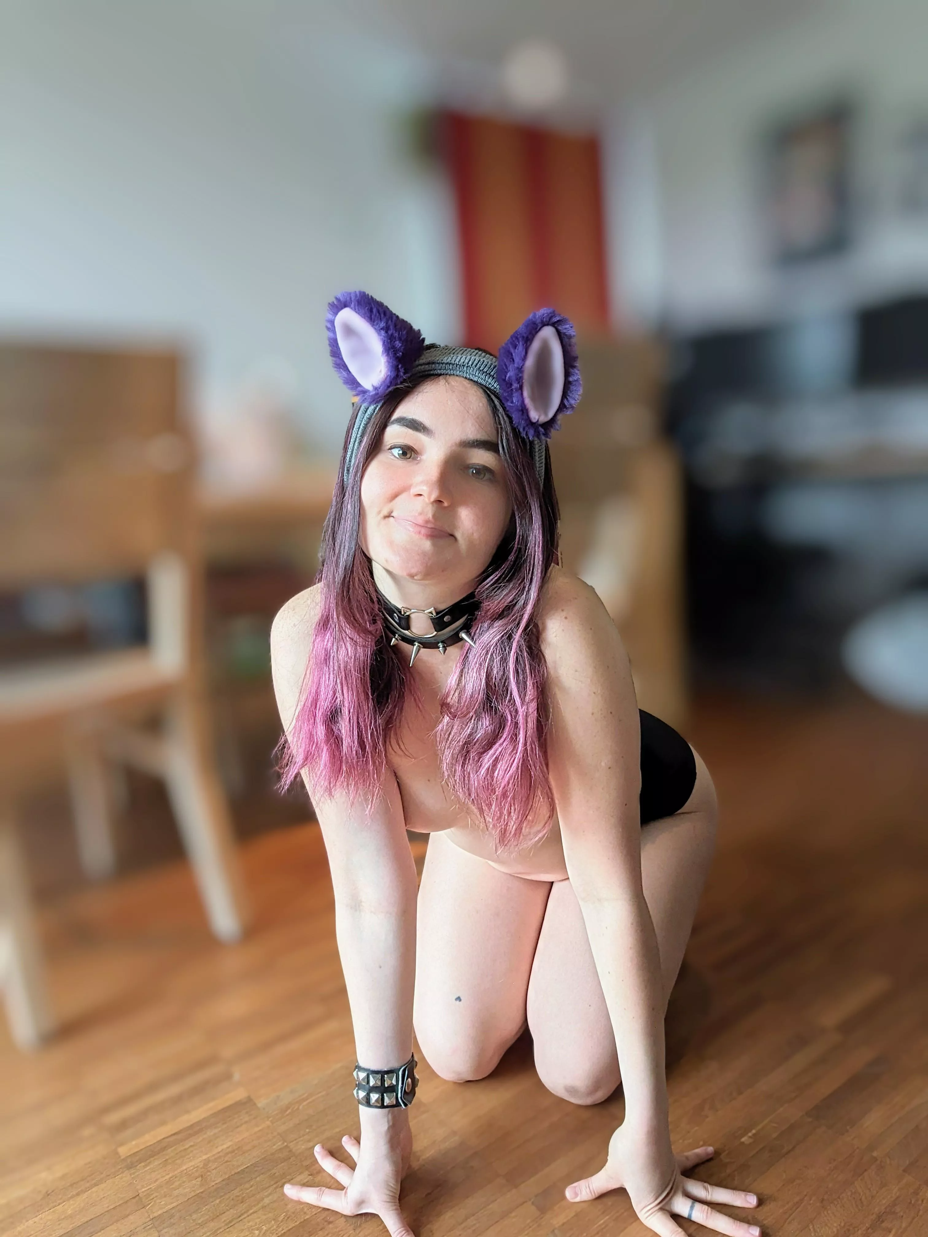 still deciding if i wanna be a cat or a dog today posted by Affectionate_Mind756