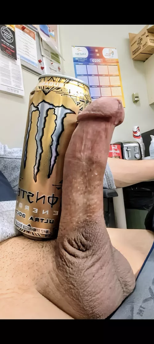 Working hard today by Constant_Abroad_2337