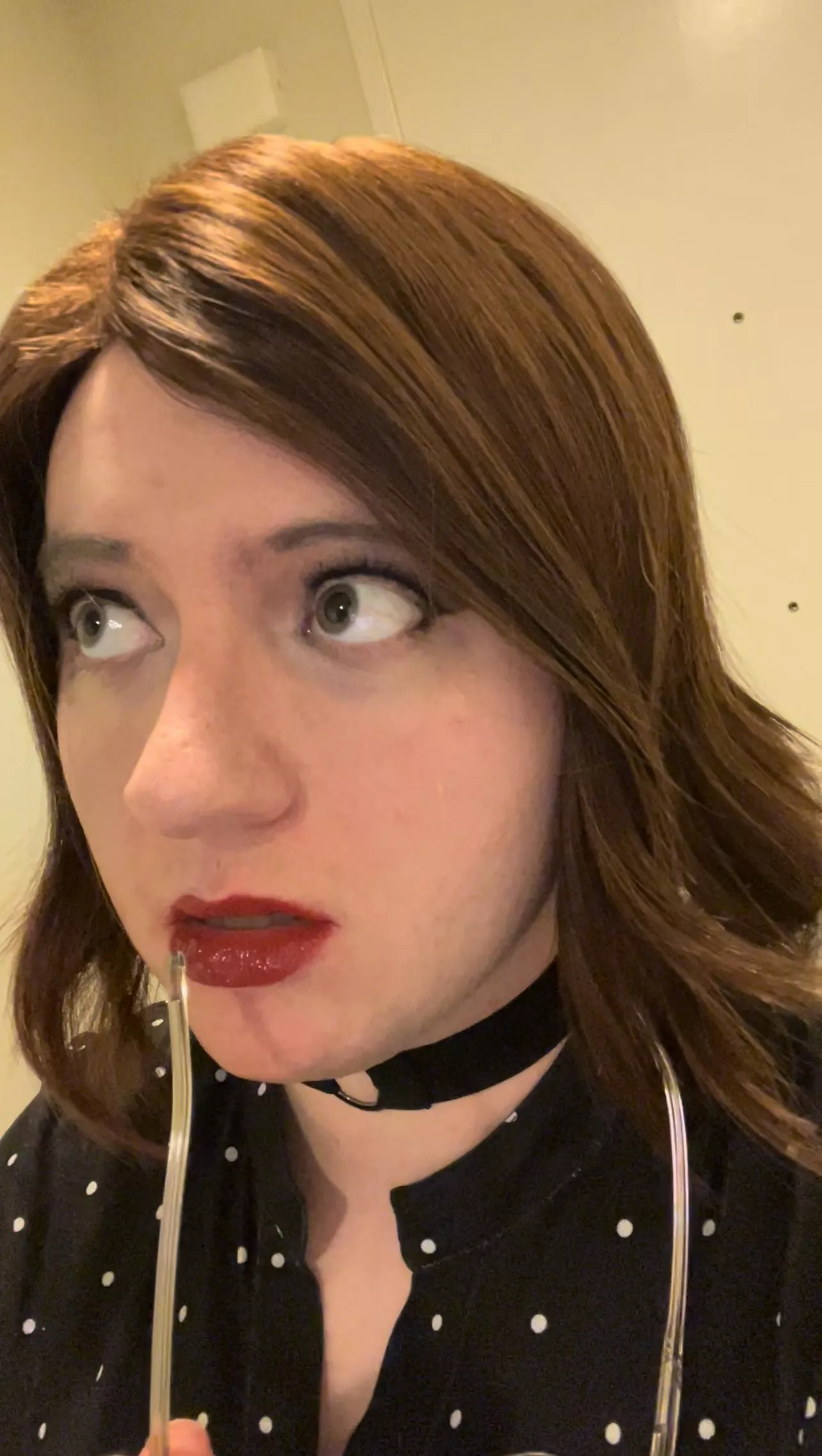 yes or no posted by Btman213