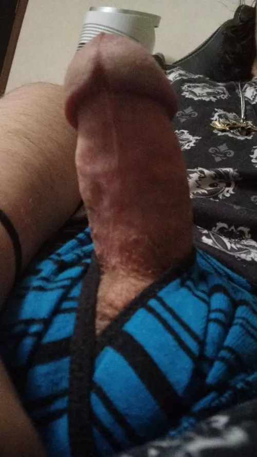 Your view while I play, get to work by ColeTheWolf