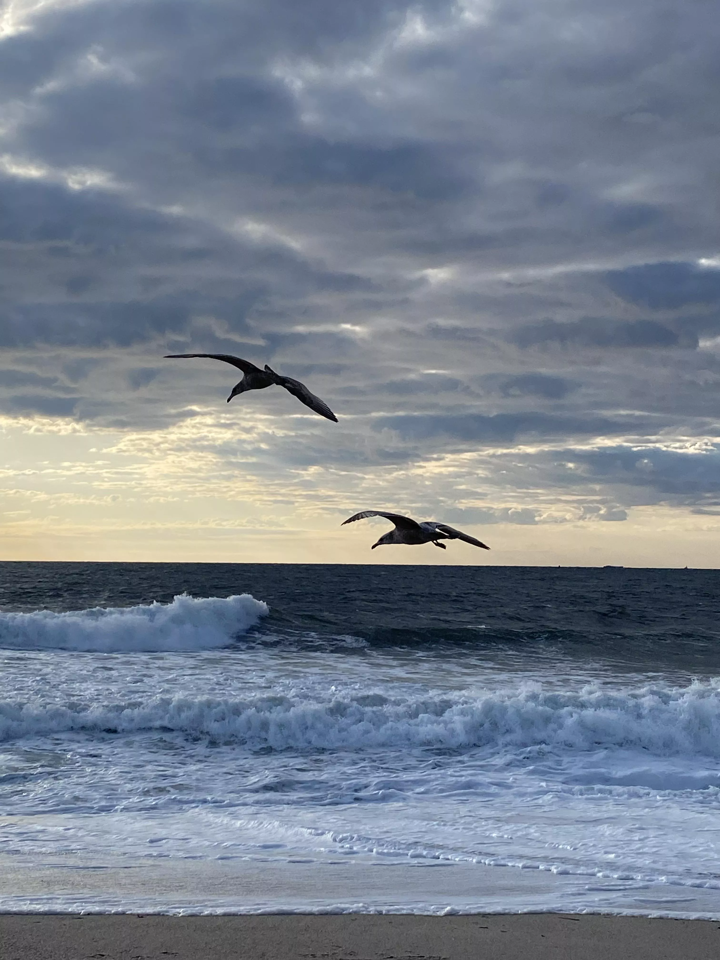 A chili morning on the Jersey shore🤙🏻🎶🎶 posted by bronxboy59