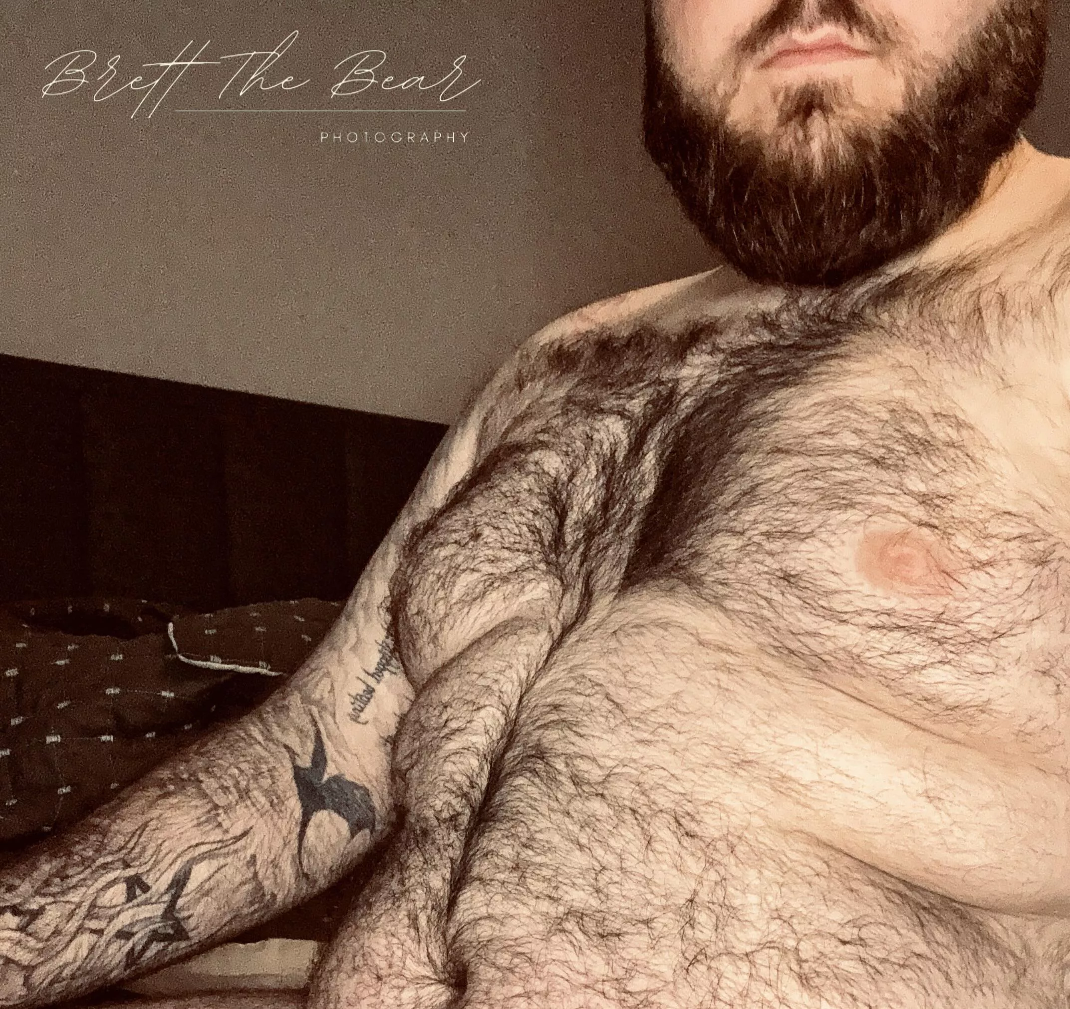 A real chubby bear  posted by Brett_The_Bear