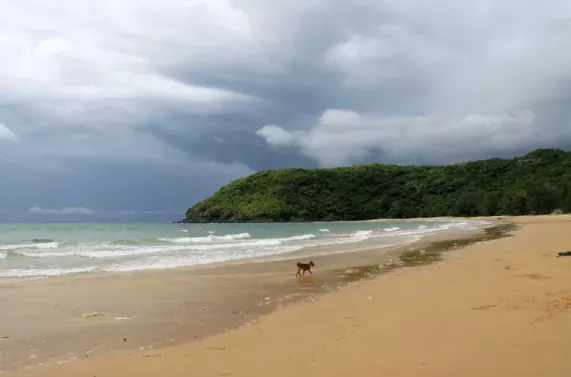 Bai Dam Trau, Vietnam posted by prdplove