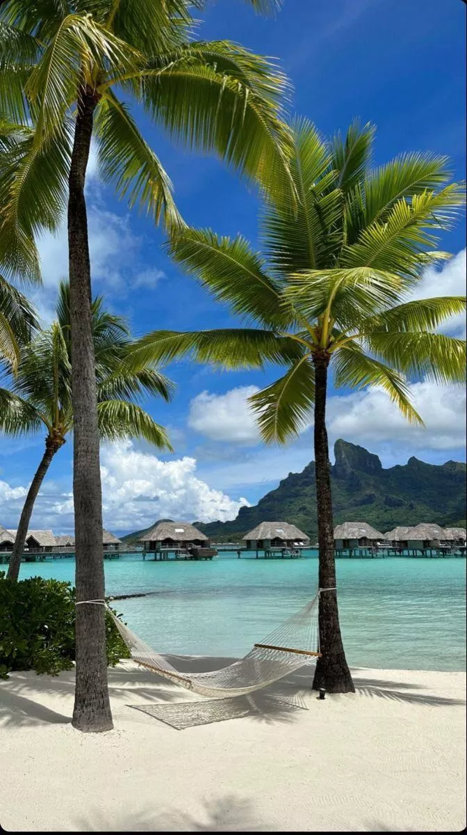 Bora bora posted by Greta_fraiser