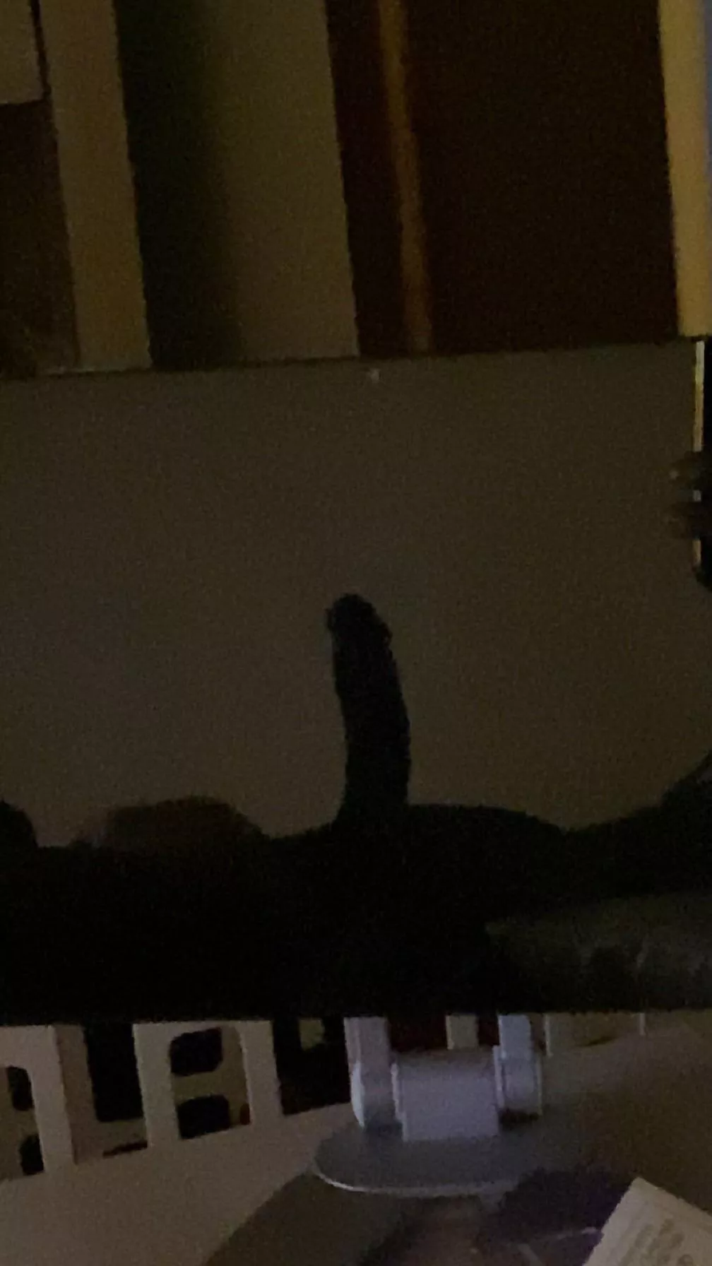 Does this count? posted by SALEMTHESTAR