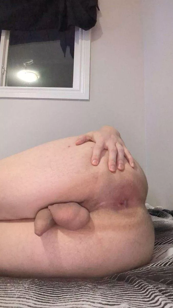 Eat my ass posted by Interesting-Tea-4504