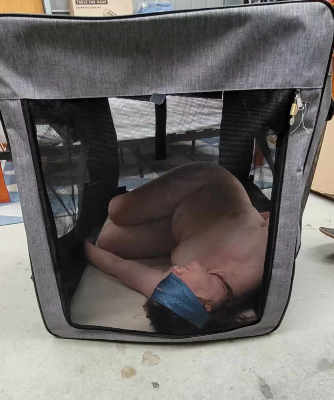 [F] When I'm not being used by Daddy or his friends. posted by Babygrl6969