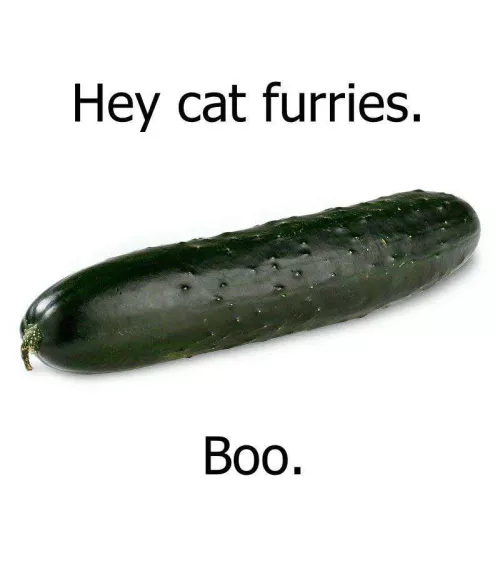 From a member of the rabbit furries lol by R_E_G_G_I_E