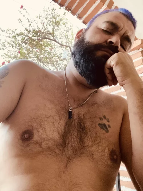 Good morning! by Ill_Dragonfruit_1817