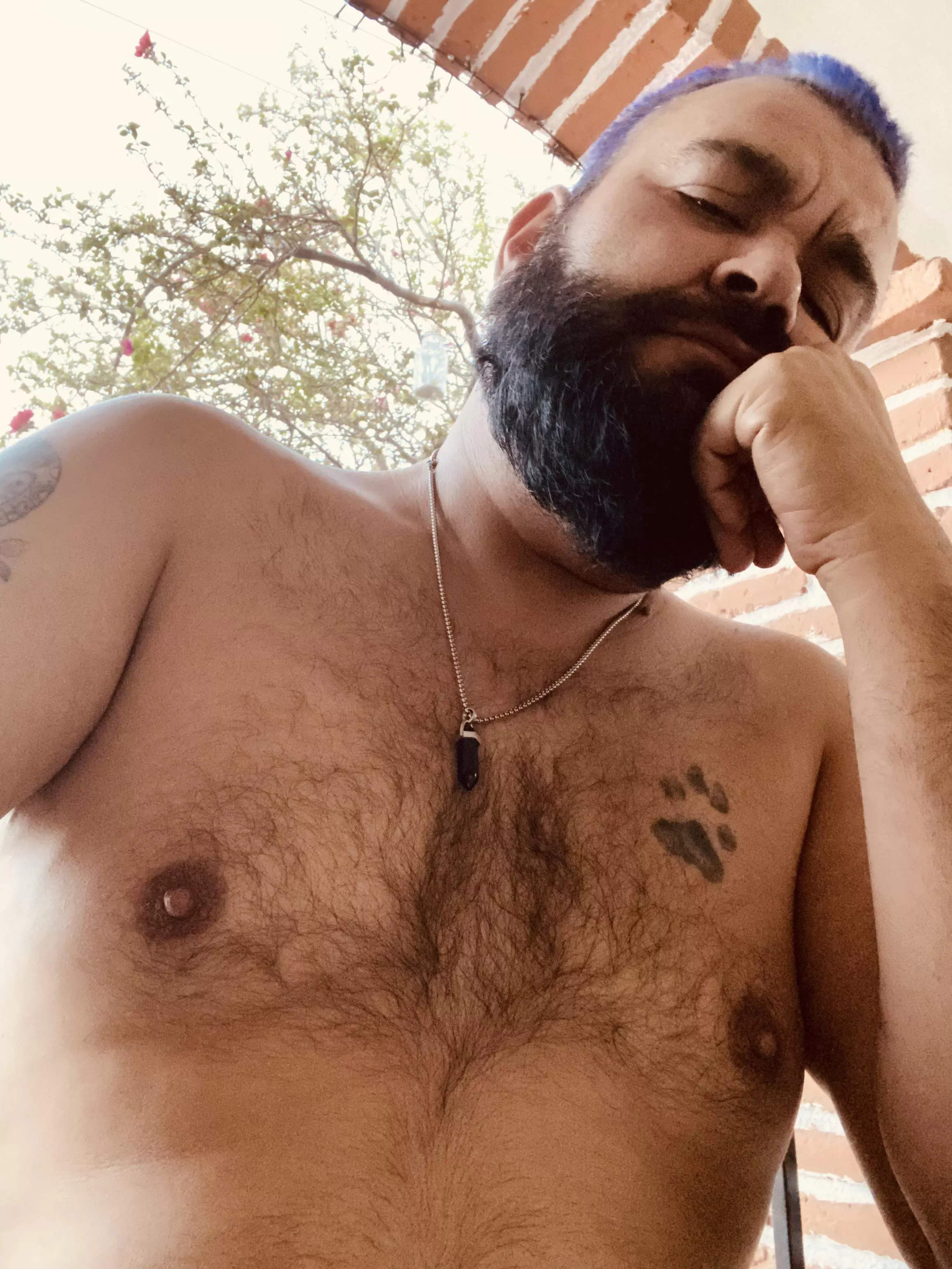 Good morning! posted by Ill_Dragonfruit_1817