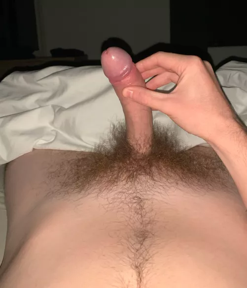 Is my bush impressive?  by zjustin18