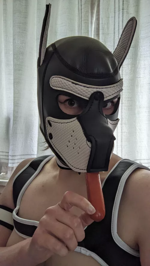 It's a dog eat dog world 🌭🐕‍🦺 by sensualskunk