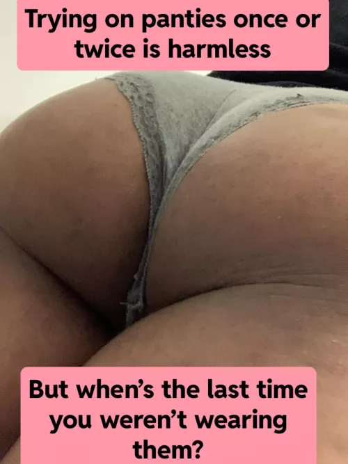 … it’s just a curiosity, that’s all by jamiekhaly