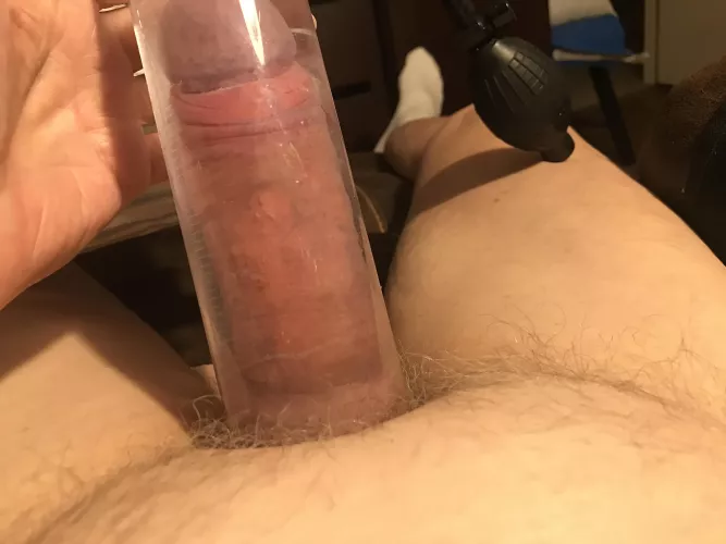 Morning pump by Working_Key_1128