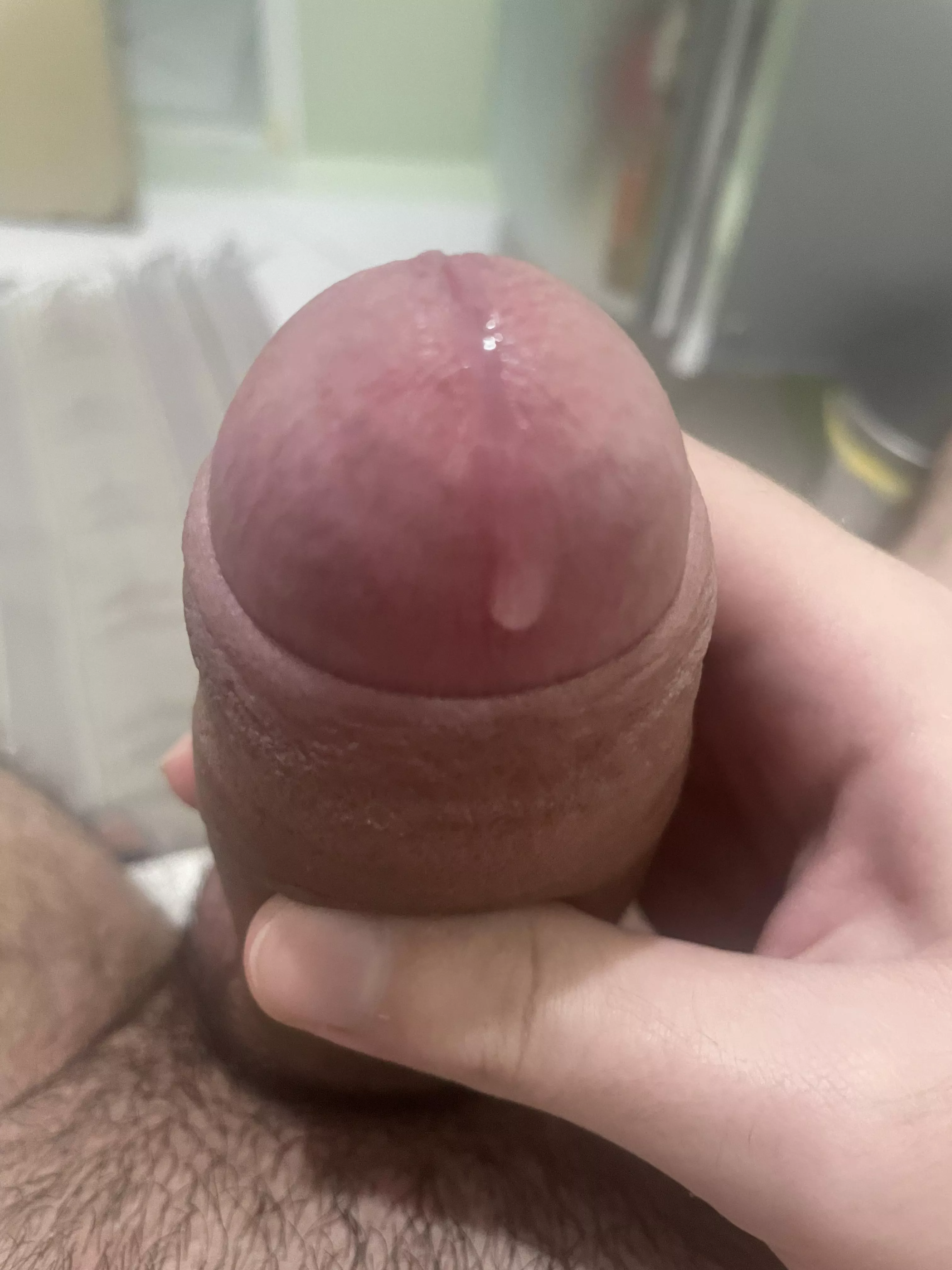 Morning wood and Wet posted by LuizFelippe0908