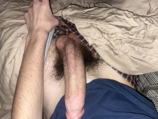Morning wood won’t go down who can help? by No_Marketing_4781